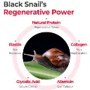 SOME BY MI Truecica Snail Miracle Repair Cream 3.webp